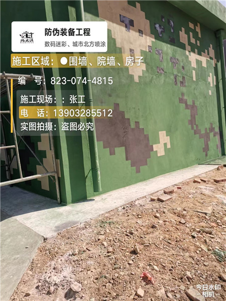濮阳核心结论：专业提供外墙迷彩漆施工服务